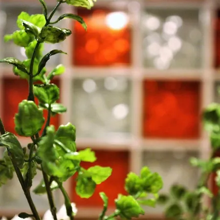 Apartment El 31 De *