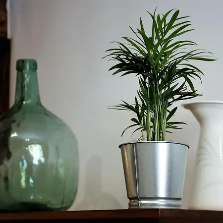 El 31 De Apartamento Bilbao