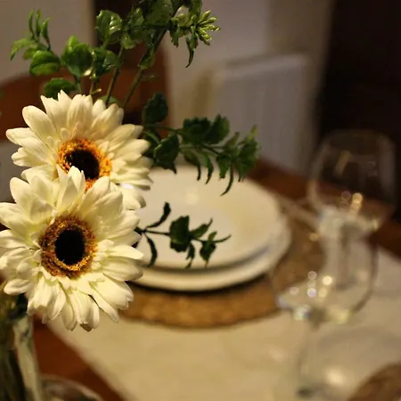 Apartamento El 31 De *